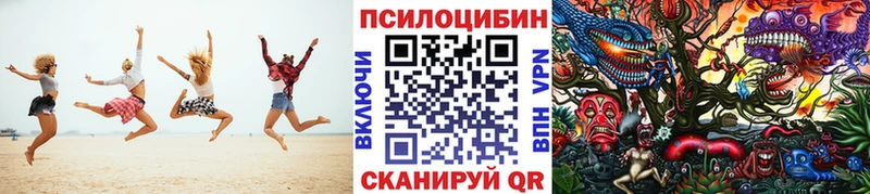 Галлюциногенные грибы Psilocybine cubensis  Туймазы 